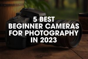 5 Best Beginner Cameras for Photography in 2023