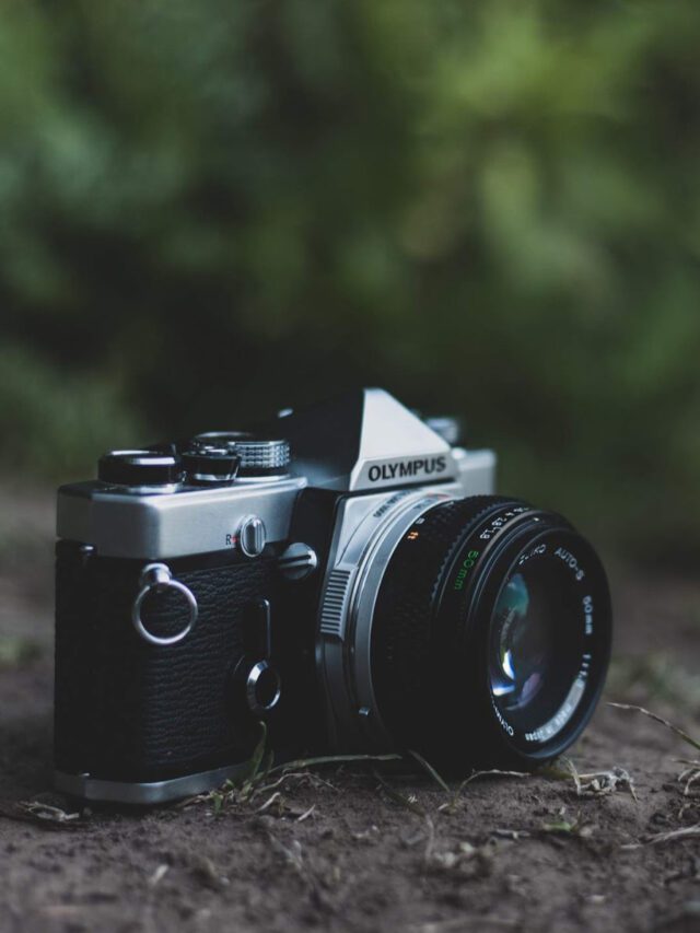5 Best Cameras for Photography in 2024