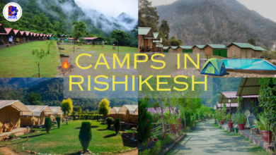 Camps in Rishikesh