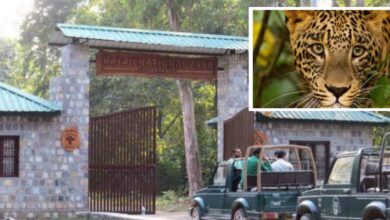 Rajaji National Park