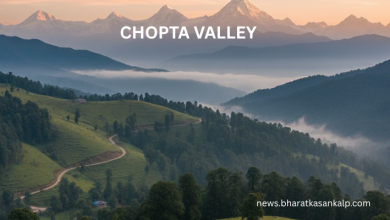 place to visit in chopta valley
