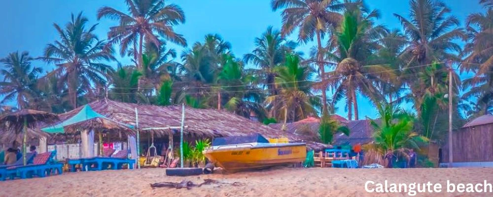 Calangute Beach: A Queen of Beaches