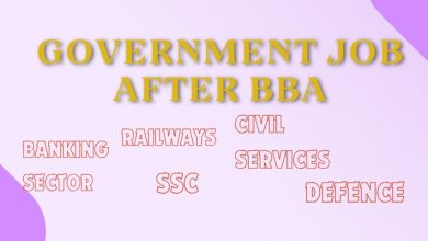 government-job-after-bba