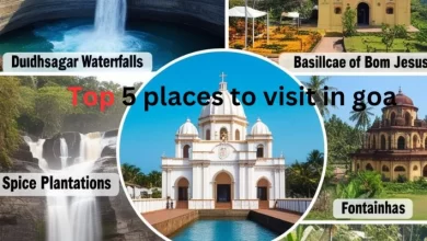 Top 5 places to visit in goa